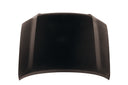 TechPro TO1230187 Hood Panel Assembly