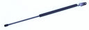 Tuff Support 610973 Liftgate Lift Support - Right