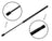 Tuff Support 611712 Liftgate Lift Support