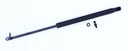 Tuff Support 612756 Trunk Lid Lift Support - Left