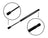 Tuff Support 613836 Trunk Lid Lift Support