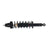 Monroe 171146 Suspension Strut and Coil Spring Assembly - Rear