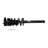 Monroe 171281 Suspension Strut and Coil Spring Assembly - Rear