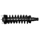 Monroe 171341 Suspension Strut and Coil Spring Assembly - Front