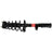 Monroe 172486 Suspension Strut and Coil Spring Assembly - Rear Left