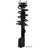 Monroe 172621 Suspension Strut and Coil Spring Assembly - Front Left