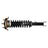 Monroe 271311 Suspension Strut and Coil Spring Assembly - Rear