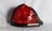 TYC 11-5372-91 Tail Light Assembly - Left