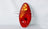 TYC 11-5501-00 Tail Light Assembly - Right