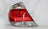 TYC 11-6066-00-9 Tail Light Assembly - Left
