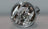 TYC 19-5561-00-9 Fog Light Assembly - Left or Right