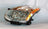 TYC 20-6996-00 Headlight Assembly - Left