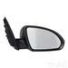 TYC 8170971 Door Mirror - Right