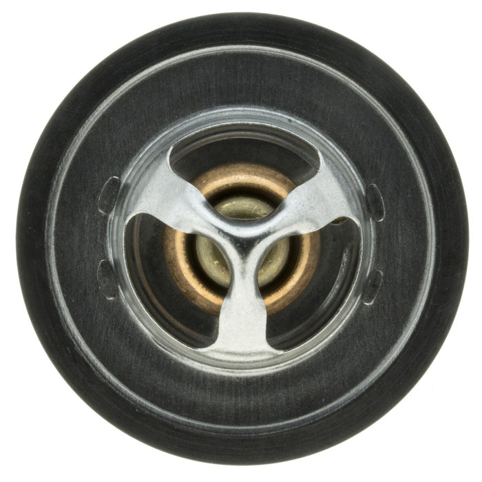 Motorad 2028-195 Engine Coolant Thermostat