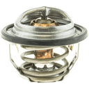 Motorad 7461-180 Engine Coolant Thermostat