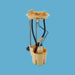 US Motor Works USEP7181M Fuel Pump Module Assembly