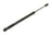 URO C2C38869 Trunk Lid Lift Support - Rear