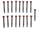 Mahle GS33193 Engine Cylinder Head Bolt Set