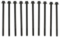 Mahle GS33368 Engine Cylinder Head Bolt Set