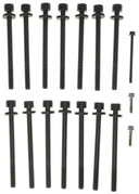 Mahle GS33416 Engine Cylinder Head Bolt Set