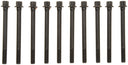 Mahle GS33556 Engine Cylinder Head Bolt Set