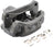 Nugeon 99P01760B Disc Brake Caliper - Rear Left