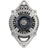 Remy 12080 Alternator