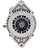 Remy 12110 Alternator