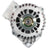 Remy 21843 Alternator