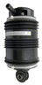 Westar AS-7034 Air Suspension Spring - Rear Left