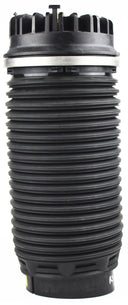 Westar AS-7063 Air Suspension Spring - Rear