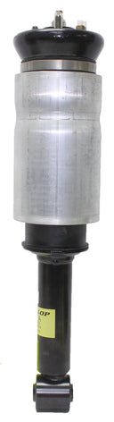 Westar AS-7328 Air Suspension Strut - Front