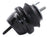 Westar EM-2813 Engine Mount - Rear Right