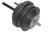 Westar EM-3166 Engine Mount - Front