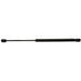 StrongArm 4404 Back Glass Lift Support