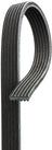 Gates DK060504 Serpentine Belt