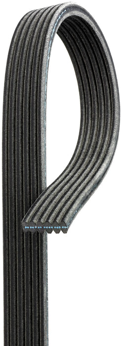 Gates DK060519 Serpentine Belt