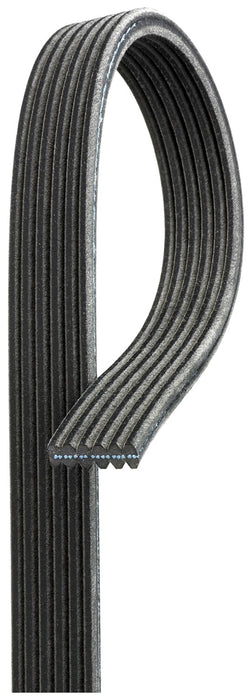 Gates DK060519 Serpentine Belt