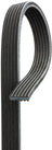Gates DK060650 Serpentine Belt