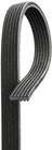 Gates DK060702 Serpentine Belt