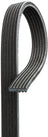 Gates DK060901 Serpentine Belt