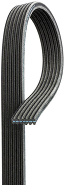 Gates DK080568 Serpentine Belt - Supercharger