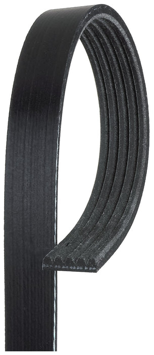 Gates K050490 Serpentine Belt