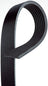 Gates K070976 Serpentine Belt