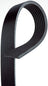 Gates K071134 Serpentine Belt