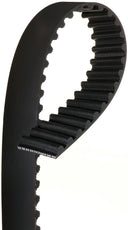 Gates T216 Engine Timing Belt
