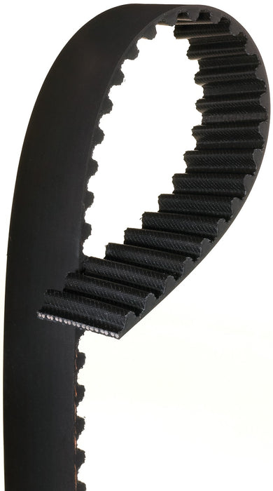 Gates T216 Engine Timing Belt
