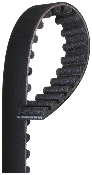 Gates T216 Engine Timing Belt