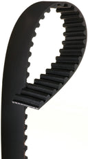 Gates T243 Engine Timing Belt