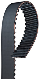 Gates T304 Engine Timing Belt